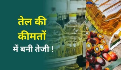 Mustard and Palm Oil Prices Jump in Birgunj Edible Oil Market